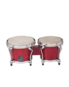 Collection image for: Bongo