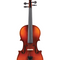 Violin & Accessories