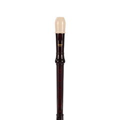Collection image for: Recorder