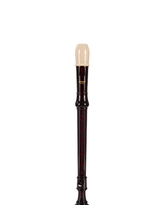 Collection image for: Recorder