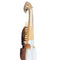 Afghan Rabab and Cases