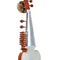 Sarod
