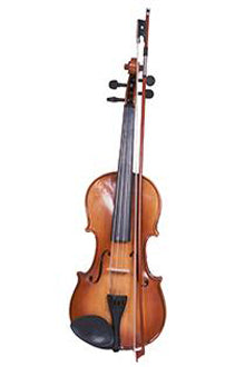 Violin