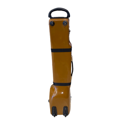 JAS  Brown 3/4 Junior Dilruba Fiberglass Hard Case