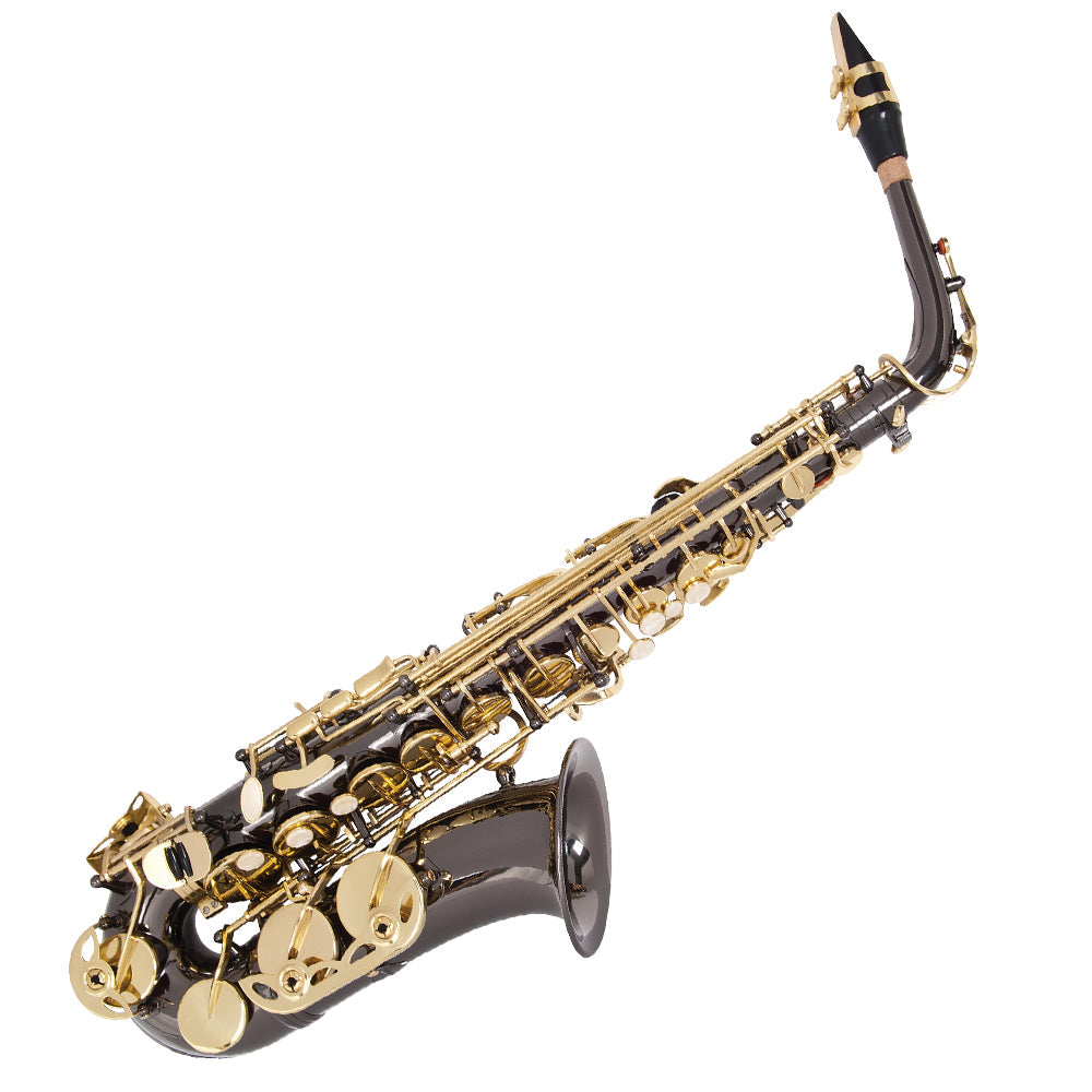 Odyssey Premiere 'Eb' Alto Saxophone Outfit ~ Black/Gold