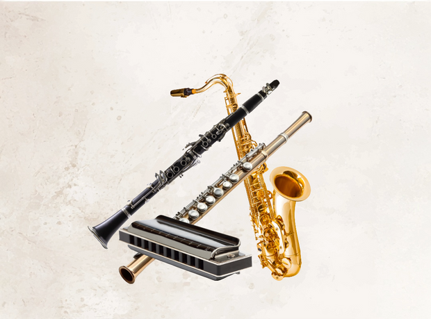 <h2><strong>Orchestral Instruments</strong></h2>