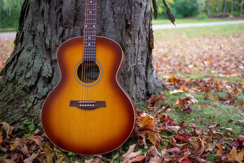 Seagull Entourage Mini Jumbo Acoustic Guitar ~ Rustic Burst