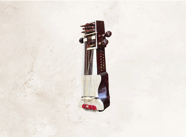 <p><strong>Sarangi</strong></p>