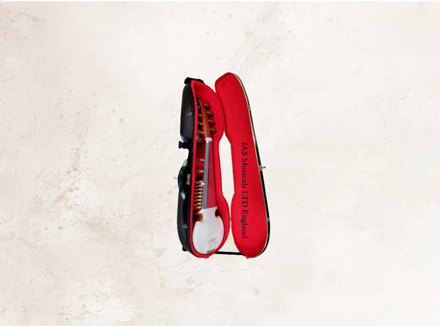 Sarod, Santorr and Swaarmandal