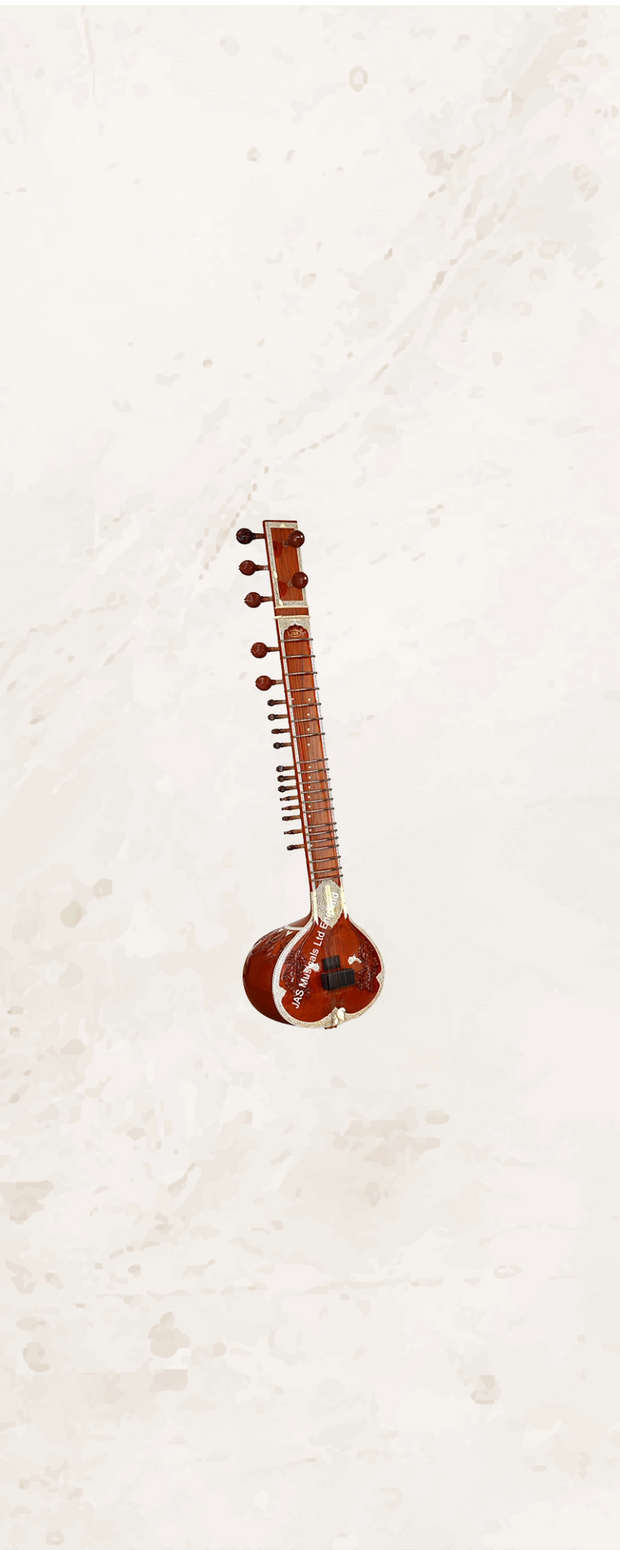 <h4><strong>Sitar, Cases, Strings & Accessories</strong></h4>