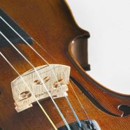 Stentor Student II violin outfit