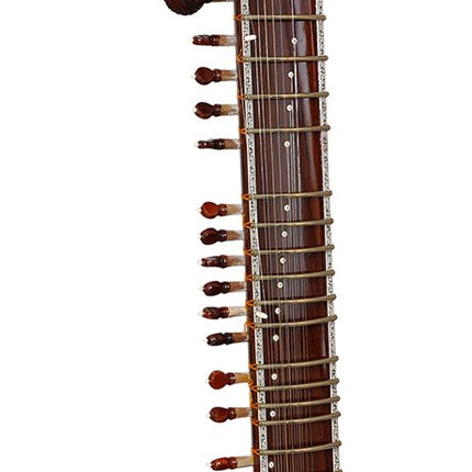 JAS Sitar Professional Ravi Shankar Style Rose Model with Hard Case