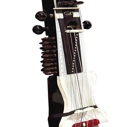 JAS Concert Sarangi with Hardcase